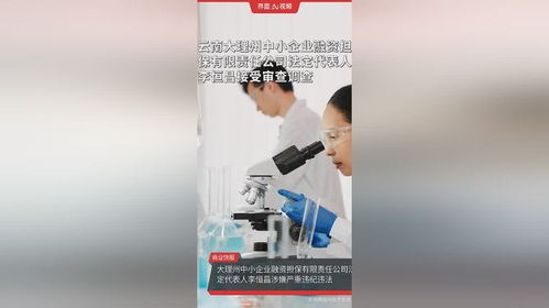 云南大理州中小企業融資擔保公司高管被查，中小企業融資生態引關注