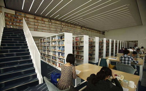 看完這些天津人的好消息，長假回來也開心了——聚焦信息技術咨詢服務新機遇